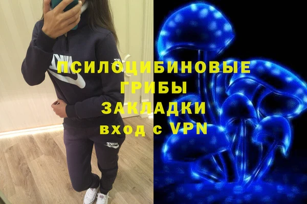 бошки Бронницы